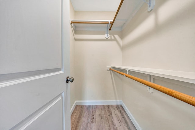 walk in closet with light wood-type flooring