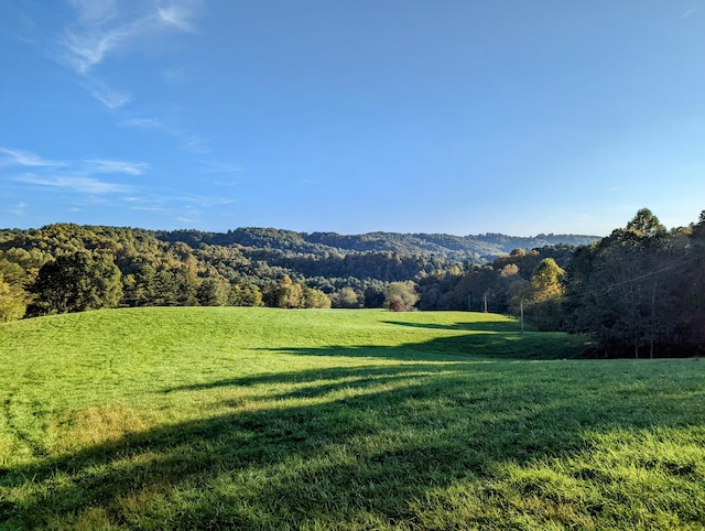 0 Laurel Creek Rd NE, Pilot, VA 24138