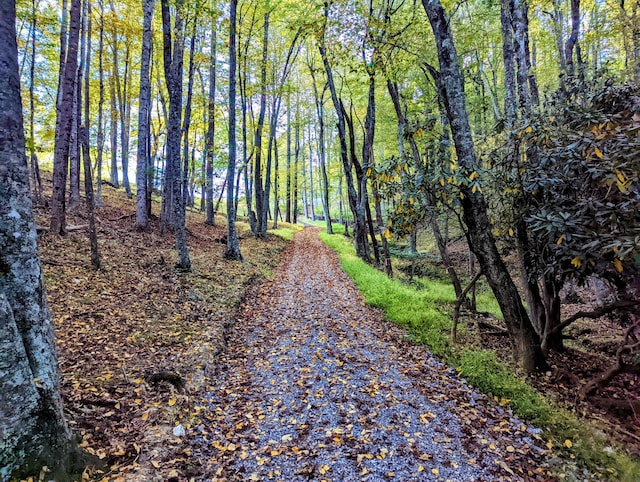 0 Laurel Creek Rd NE, Pilot, VA 24138