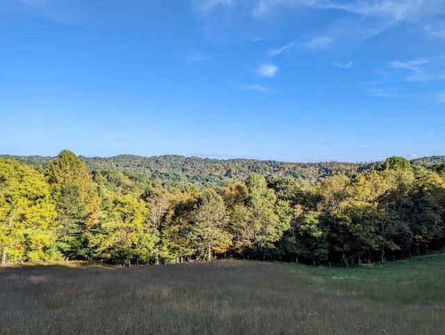 0 Laurel Creek Rd NE, Pilot, VA 24138