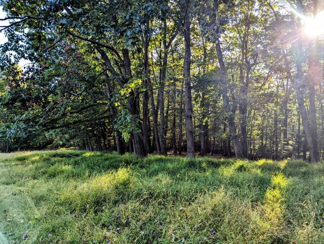 0 Laurel Creek Rd NE, Pilot, VA 24138