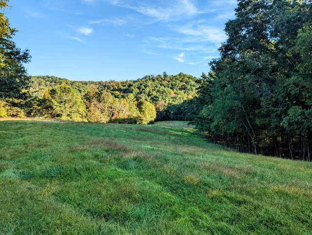 0 Laurel Creek Rd NE, Pilot, VA 24138