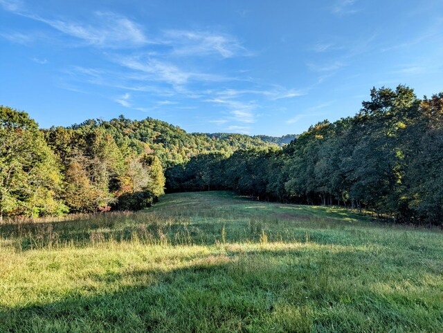 0 Laurel Creek Rd NE, Pilot, VA 24138