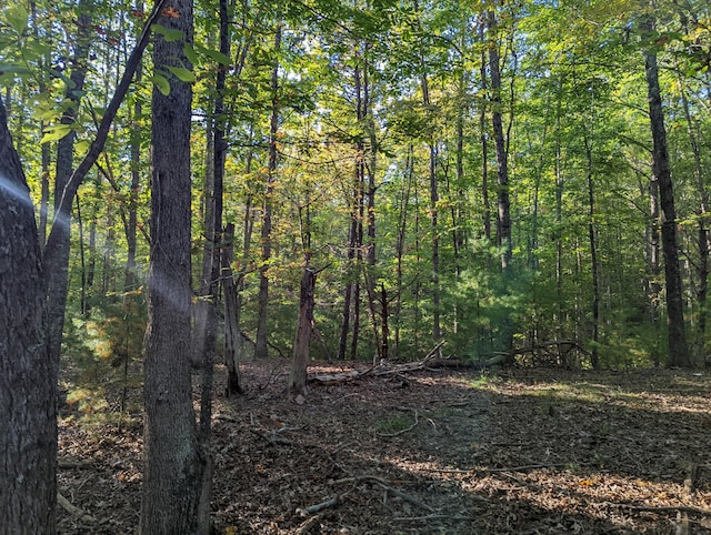 0 Laurel Creek Rd NE, Pilot, VA 24138