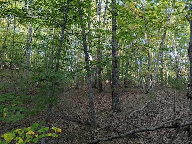 0 Laurel Creek Rd NE, Pilot, VA 24138