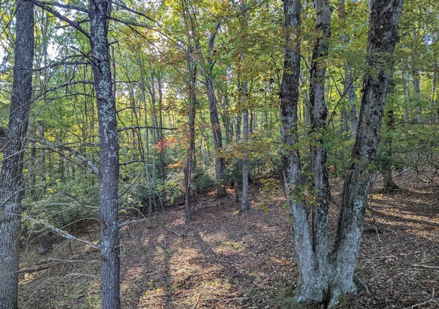 0 Laurel Creek Rd NE, Pilot, VA 24138