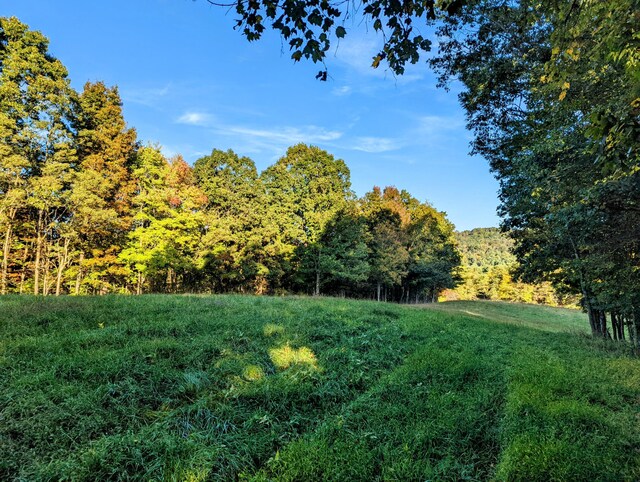 0 Laurel Creek Rd NE, Pilot, VA 24138