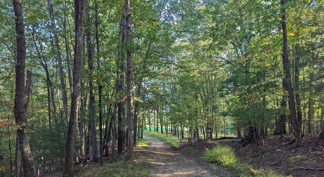 0 Laurel Creek Rd NE, Pilot, VA 24138