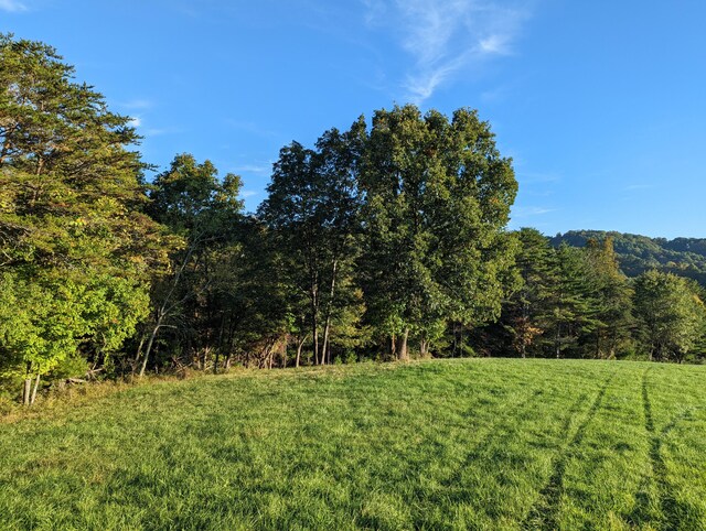 0 Laurel Creek Rd NE, Pilot, VA 24138