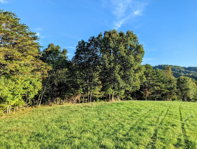 0 Laurel Creek Rd NE, Pilot, VA 24138