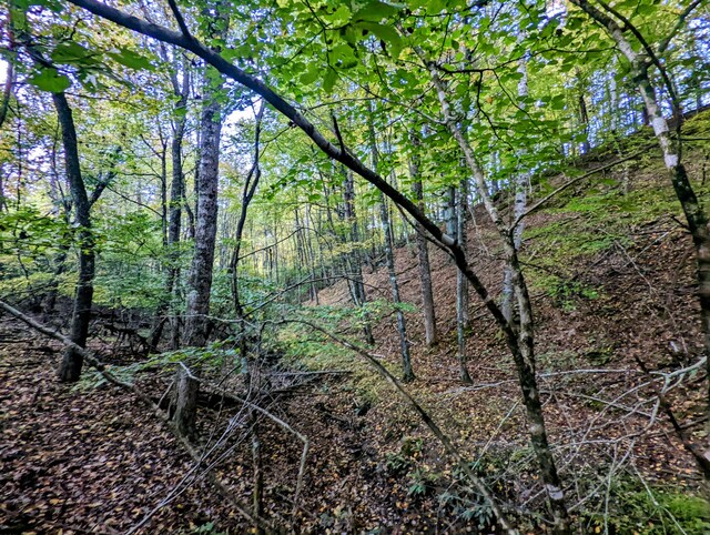 0 Laurel Creek Rd NE, Pilot, VA 24138