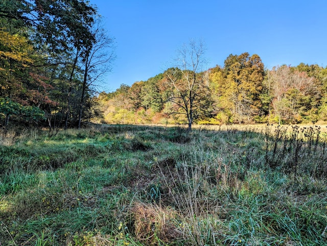 0 Laurel Creek Rd NE, Pilot, VA 24138