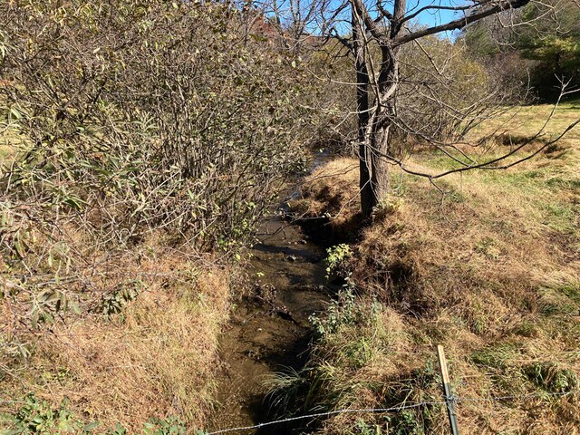 0 Laurel Creek Rd NE, Pilot, VA 24138