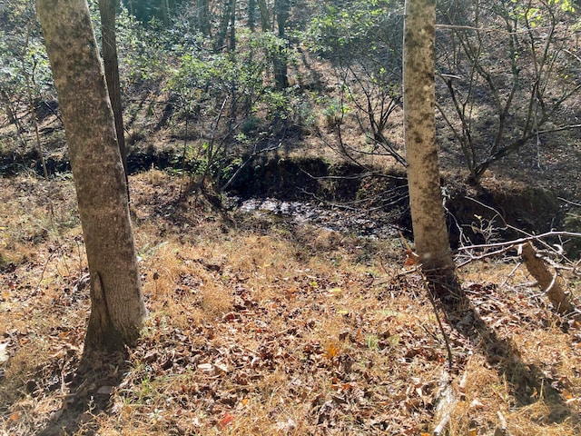 0 Laurel Creek Rd NE, Pilot, VA 24138