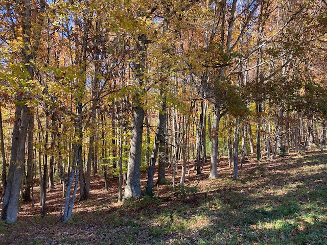 0 Laurel Creek Rd NE, Pilot, VA 24138