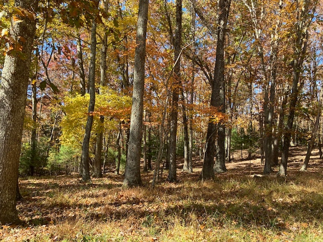 0 Laurel Creek Rd NE, Pilot, VA 24138