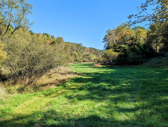 0 Laurel Creek Rd NE, Pilot, VA 24138