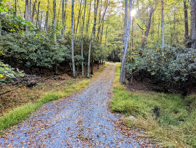 0 Laurel Creek Rd NE, Pilot, VA 24138