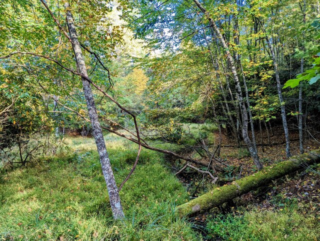 0 Laurel Creek Rd NE, Pilot, VA 24138