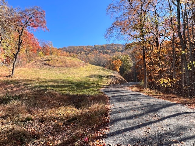 565 Misty Mountain Ln, Roanoke, VA 24012
