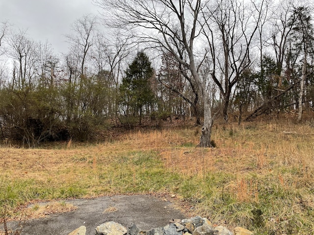 4323 Hershberger Rd NW, Roanoke VA, 24017 land for sale