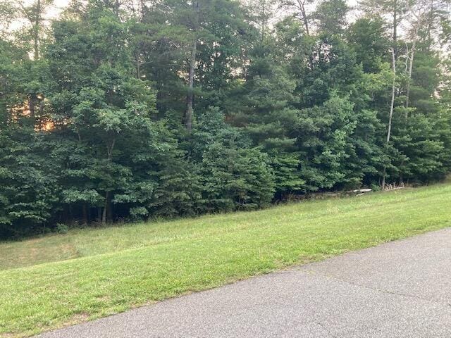 LOT28 Freedom Ln, Wirtz VA, 24184 land for sale