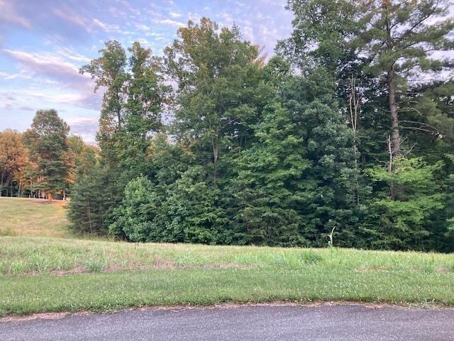 LOT30 Revolution Rd, Wirtz VA, 24184 land for sale