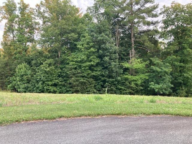 Listing photo 3 for LOT30 Revolution Rd, Wirtz VA 24184