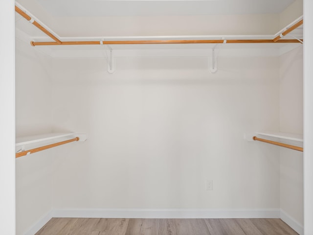 spacious closet with light wood-type flooring