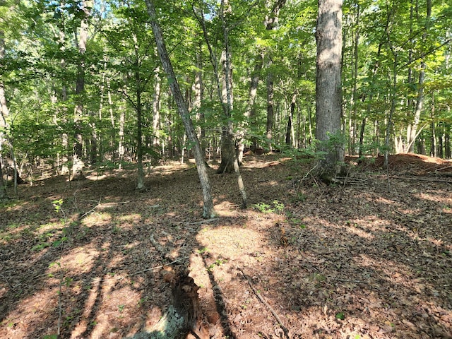 Listing photo 2 for LOT4 Charmwood Cir, Moneta VA 24121