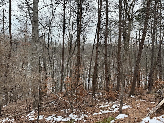 Listing photo 3 for LOT7 Trapper Ln, Vinton VA 24179