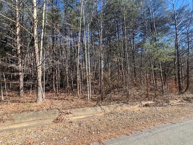 0 Lees Ridge Rd, Martinsville VA, 24112 land for sale