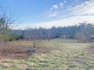 Listing photo 2 for LOT246 Clear Pointe Run, Lynch Station VA 24571