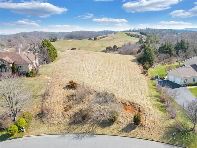 LOT44 Settlers Rd, Fincastle VA, 24090 land for sale