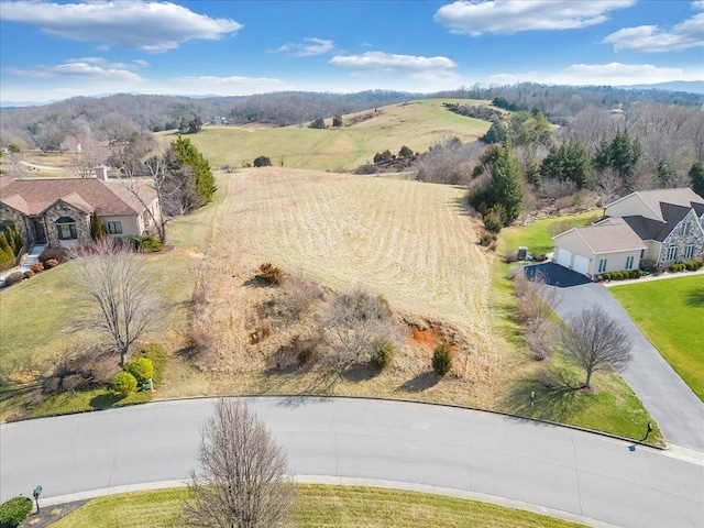 Listing photo 2 for LOT44 Settlers Rd, Fincastle VA 24090