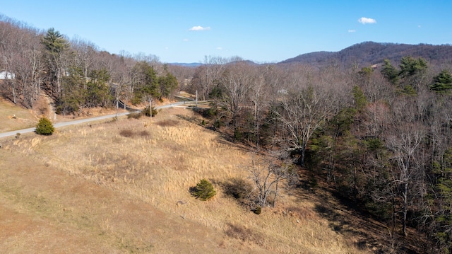 Listing photo 2 for 0 Coopers Cove Rd, Hardy VA 24101