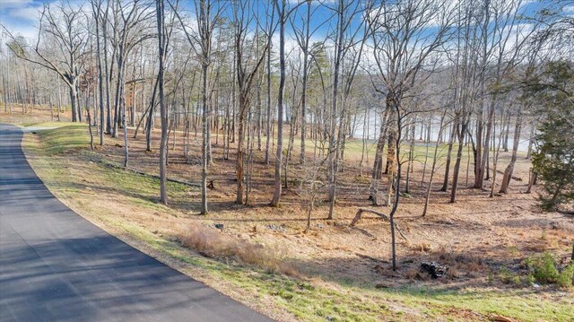 Listing photo 3 for LOT82 Crestview Rd, Wirtz VA 24184