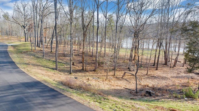 Listing photo 3 for LOT82 Crestview Rd, Wirtz VA 24184