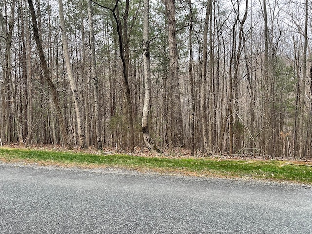 Listing photo 2 for LOT70-A Boxwoodgreen Dr, Wirtz VA 24184