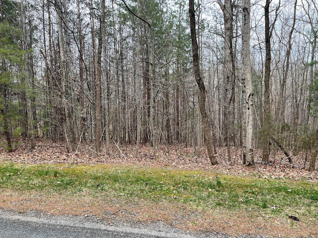 Listing photo 3 for LOT70-A Boxwoodgreen Dr, Wirtz VA 24184