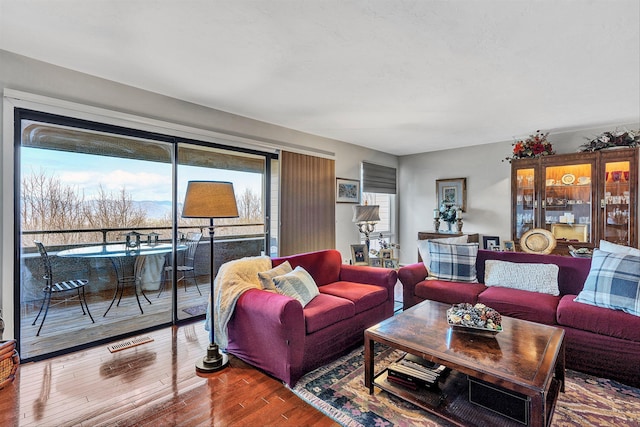 living room featuring dark hardwood / wood-style floors and a wealth of natural light