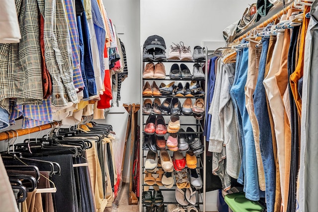 view of spacious closet