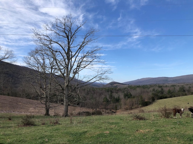 00 Wolfe Rd, Covington VA, 24426 land for sale