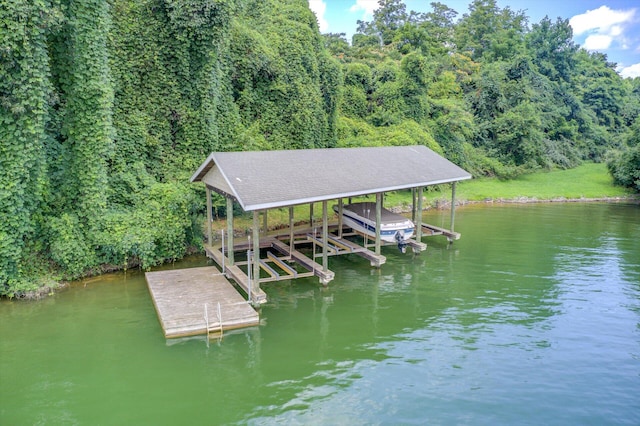 dock area with a water view