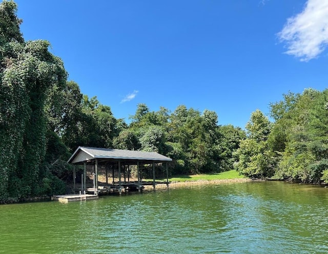 dock area with a water view