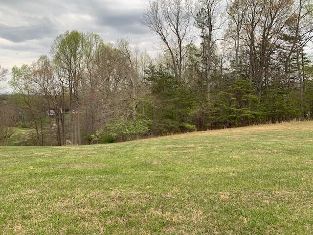 LOT64 N Church Dr, Hardy VA, 24101 land for sale