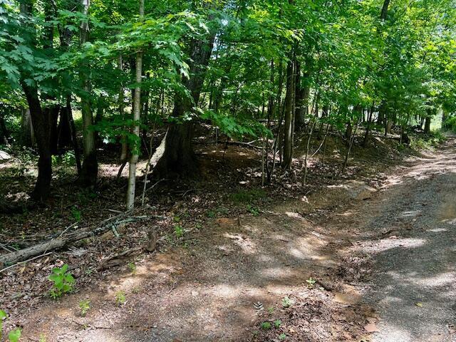 0 Ventnor Rd SE, Roanoke VA, 24014 land for sale