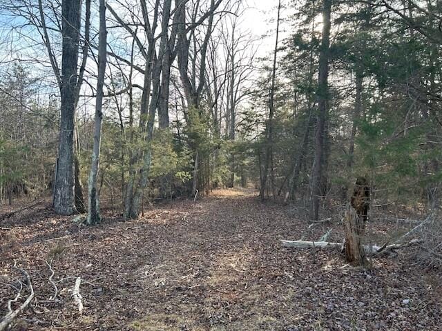 Listing photo 2 for LOT68 Rose St, Gretna VA 24557