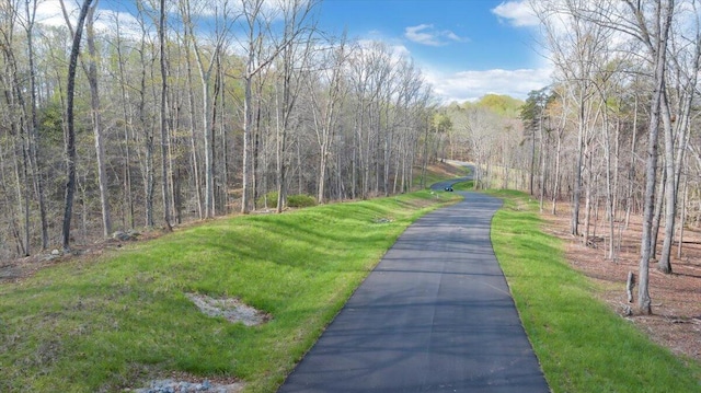 LOT11 Red Barn Ln, Wirtz VA, 24184 land for sale