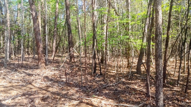 LOT130 Harbor Landing Dr, Moneta VA, 24121 land for sale